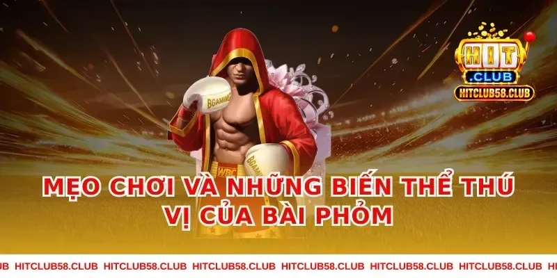 Mẹo Chơi Và Những Biến Thể Thú Vị Của Bài Phỏm