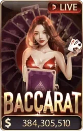 favicon baccarat