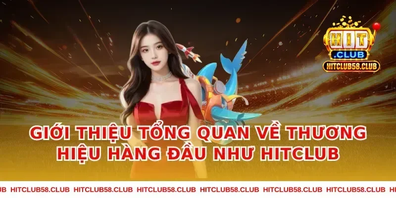 Giới thiệu tổng quan về thương hiệu hàng đầu như Hitclub