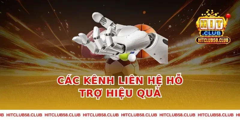 Các Kênh Liên Hệ Hỗ Trợ Hiệu Quả