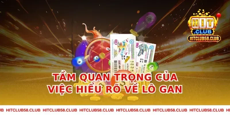 Tầm quan trọng của việc hiểu rõ về lô gan