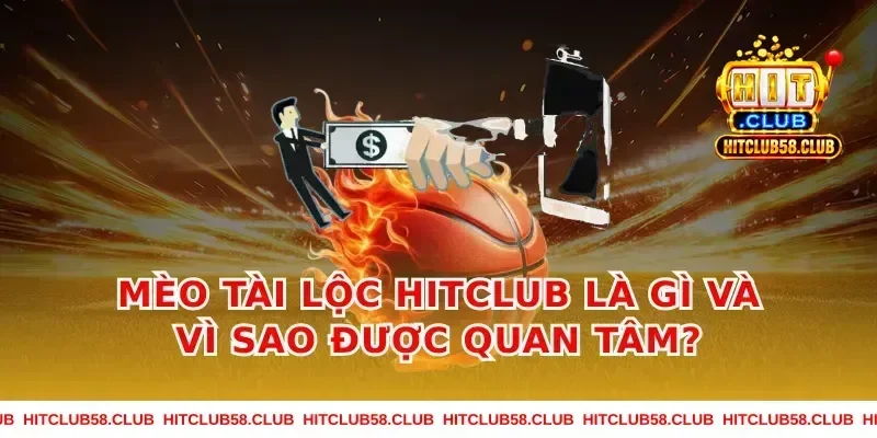 mèo tài lộc hitclub là gì và vì sao được quan tâm?